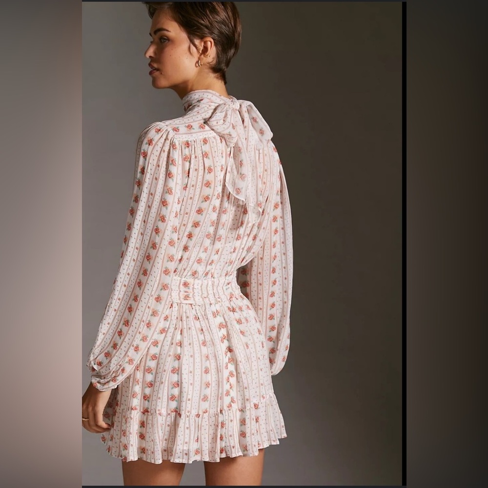 Anthropologie Let Me Be Mock Neck Sheer Mini Dress in Pink Combo, Size LG; NWT - Picture 2 of 16